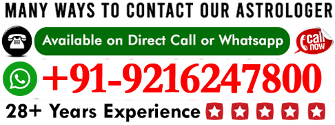 Contact Mohammed Shayed Qadri